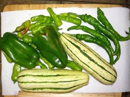 Maybe you would like to learn more about one of these? Honey Boat Delicata Squash Garden Update