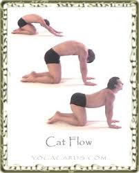 Pin On Yoga Poses I Can Do