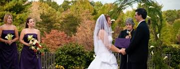 Get Paid To Go To Weddings Earn 300 Per Ceremony As An Officiant Wedding Officiant Wedding Officiant Business Wedding