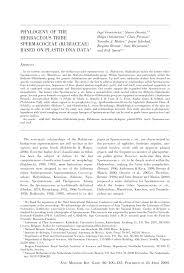 Image result for Agathisanthemum globosum