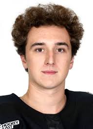 Player photos for the 2020-21 Sioux Falls Stampede at hockeydb.com