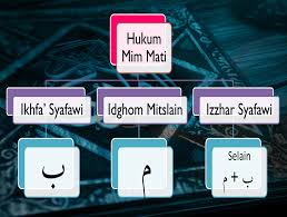 Hukum mim mati ada 3: Contoh Contoh Hukum Tajwid Mim Mati Idzhar Syafawi Ikhfa Syafawi Idgham Mimi Tipstriksib