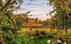 Different styles of png images with high resolution. Countryside Garden Garden Image High Resolution Free Download 1920x1200 Download Hd Wallpaper Wallpapertip