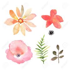 Experimenta con capas de diferentes pinceles y modifica una línea tantas veces como quieras con la herramienta de borrado. Conjunto Floral Coleccion De Flores Dibujo Acuarela Diseno Para La Invitacion Boda O Tarjetas De Felicitacion Fotos Retratos Imagenes Y Fotografia De Archivo Libres De Derecho Image 67258057