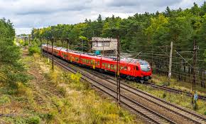 Image result for Elfenbein 1995 Fleet