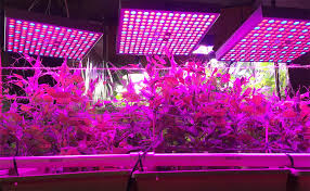 Amazon Com 45w Led Grow Light For Indoor Plants Growing Lamp 225 Leds Uv Ir Red Blue Full Spectrum Plant Lights Bulb Panel For Hydroponics Greenhouse Seedling Veg And Flower By Venoya Home