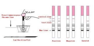 We did not find results for: Stripes On Pregnancy Test Like Strips To Understand The Result Health Care Qsota