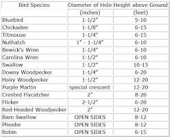 Birdhouse Hole Size Chart Canada A Pictures Of Hole 2018