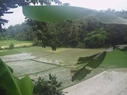 Pengertian Kenampakan Alam Indonesia Gambar Terlengkap Http Ift Tt 2o3gdx7 Alam Gambar Indonesia