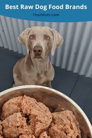 If you're looking for a far less messy alternative to raw food and a much meatier meal than your average dry kibble can provide, it might be time to find out if dehydrated dog food is the right. Best Raw Dog Food Brands Best Premade Raw Dog Food