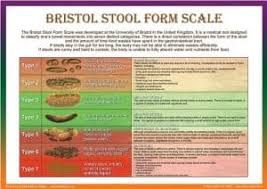 bristol stool scale stool diary london gastroenterology