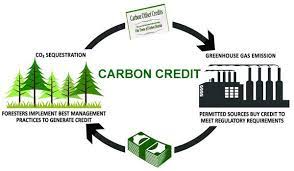 Questions to ask before selling carbon credits. Carbon Credit Definition Types And How Does It Works Textile Learner