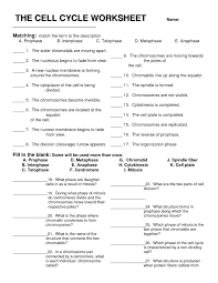 Free Printable Biology Worksheets In 2020 Biology Worksheet Teaching Biology Biology Lessons