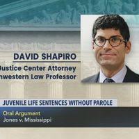 Bildergebnis für David Shapiro