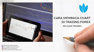 Cara Membaca Chart Di Trading Forex Belajar Trading