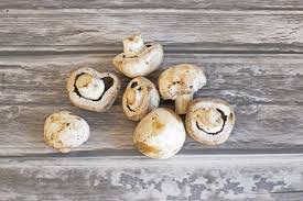 Button mushroom is a basic common plant card in plants vs. The Best Way To Clean Store Fresh Mushrooms How To Freeze Dry