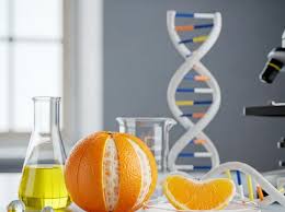 Image result for Orange 1990 Gateway Food Inc