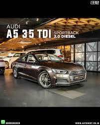 Image result for Argus Brown 2019 A5