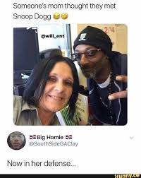 Someone S Mom Thought They Met Snoop Dogg F J Big Homie Soljthsidegaciay Now In Her Defense Ifunny Funny Relatable Memes Funny Relatable Quotes Mom Thoughts