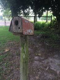 For instance, people who live in florida will create a dolphin mailbox. Mailbox Birdhouse Bird House Home Living Outdoor Gardening Truongsinhhoc Com Vn
