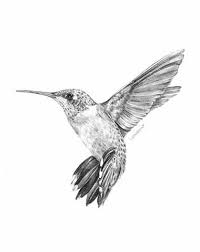 Hummingbird For Mom Hummingbird Tattoo Hummingbird Drawing Hummingbird Tattoo Black