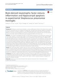 Vaccinarea la copil se face in patru doze, la 2, 4, 6 luni si un an si jumate. Pdf Brain Derived Neurotrophic Factor Reduces Inflammation And Hippocampal Apoptosis In Experimental Streptococcus Pneumoniae Meningitis