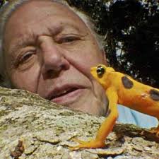 Stream Not bad for an amphibian by stereo-typical sounds