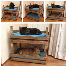 Geweldig Leuk En Mooi Gelukt Cat Room Diy Cat Room Cat Diy
