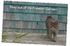 Wet coffee grounds—which you may be able to get for free from coffee houses and fast food chains—and metal pans filled with vinegar also deter cats. How To Keep Cats Out Of Your Yard Page 1 Of 0 Cats Away