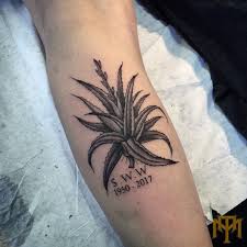 Cut an aloe vera leaf to take its gel. Aloe Tattoo By Luke Smith From Trade Mark Tattoo Durban South Africa Tattoos Ink Tattoo Mark Tattoo