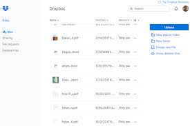 I have a pro membership and still can't download pfd files. The 5 Best File Syncing Apps