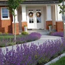 Front Walk Design Ideas Pictures Remodel And Decor Front Yard Landscaping Design Front Walk Porch Landscaping