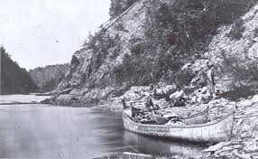 Image result for Vanwykia