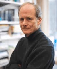 Implementing Self Determination Theory