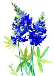 Texas Bluebonnet Flowers Mini Art Print By Surenart Without Stand 3 X 4 In 2020 Blue Bonnets Texas Bluebonnets Texas Bluebonnets Art