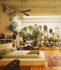 Indoor Plants 3 70s Home Decor Retro Home Decor Retro Home