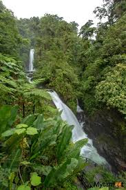Peace Lodge And La Paz Waterfall Gardens Nature Park Review In 2020 La Paz Waterfall Gardens La Paz Waterfall