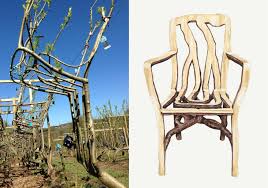 Full Grown Furniture The Art Tree Art And Technology Art Furniture