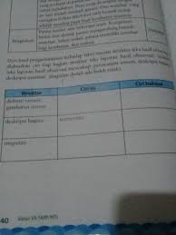 Peserta didik diminta mengerjakan soal berdasarkan teks prosedur yang sudah tersaji sebelumnya. Struktur Teks Laporan Hasil Observasi Mecakup Pernyataan Umum Deskripsi Bagian Deskripsi Brainly Co Id