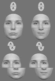 Perceptual Learning and Expertise (Chapter 36)