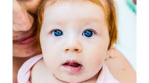 Baby Genetics Calculator What Will My Baby Look Like