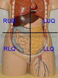 October 29, 2020 reading time in this article we will describe the anatomy of the right upper quadrant, what lies below this area of the abdominal wall, and which are the potential causes. Abdominal Quadrants