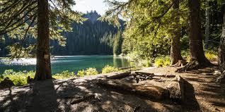 Access 20 trusted reviews, 0 photos & 2 tips from fellow rvers. Best Camping Near Mount Rainier Best Campgrounds Mount Rainier National Park Adventure Park