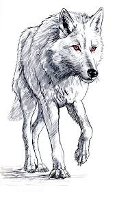 Pin By Elliot Valory On Game Of Thrones Animal Sketches Animal Drawings Wolf Drawing