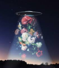 Ufo art et design alien aesthetic trippy artsy fartsy art inspo pop art things i want believe. Aesthetic Galaxy Alien Drawing Largest Wallpaper Portal