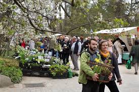 Botanischer Garten Fruhlings Staudenmarkt In Berlin Gourmetwelten Das Genussportal