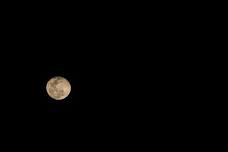 Strawberry Moon Dinner & Guided Vineyard Walk