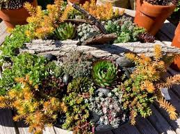 Discover salt lake city hotels, things to see & where to stay. Cactus Tropicals 2735 S 2000 E Salt Lake City Ut Florists Mapquest