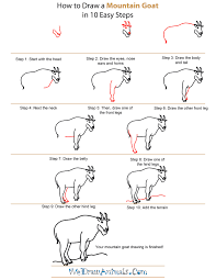 How To Draw A Mountain Goat Step By Step Png 600 776 Mountain Goat Drawings Animal Drawings