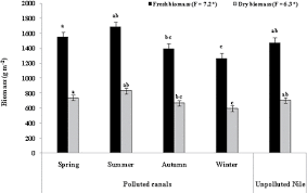 Image result for Vossia cuspidata